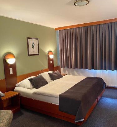 Bohinjska Bistrica Hotel | Hotel Tripič, restaurant and pizzeria