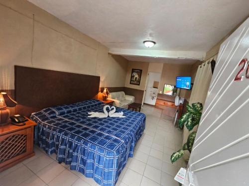 Tangancicuaro de Arista Hotel | Hotel y Cabañas Manolo