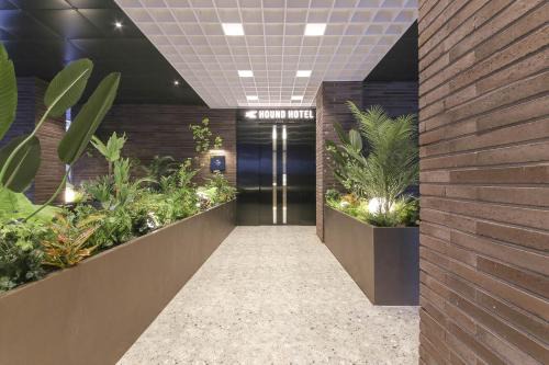 Haga-ri Hotel | Hound Hotel Jeonju Deokjin