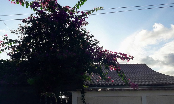 Jacone House | House 2 blocks from Jaconé beach, prime street 5 minutes from the main shops