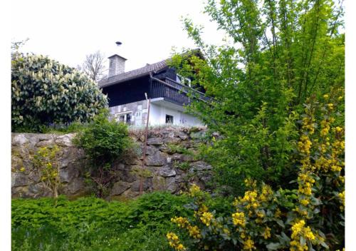 Vidrga House | House David