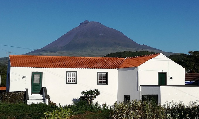 Madalena House | House of Biscuits. .