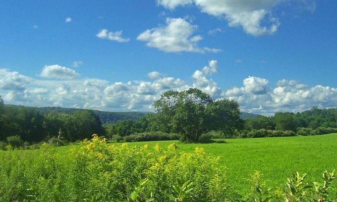 Pawling House | House on Appalachian Trail, walking distance from NYC trains. 3bd/1ba, 3 acres