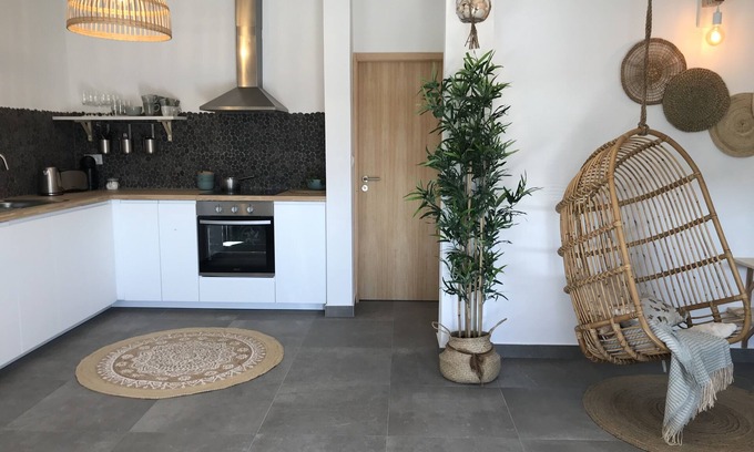 Praia de Mira Apartment | House on the river: Bico das flores 1