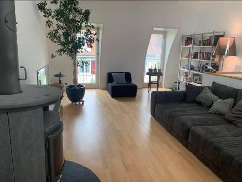 Basel City Centre Apartment | House with garden