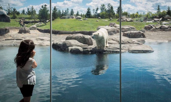 Polaris Hotel | Hyatt Place Columbus/Polaris