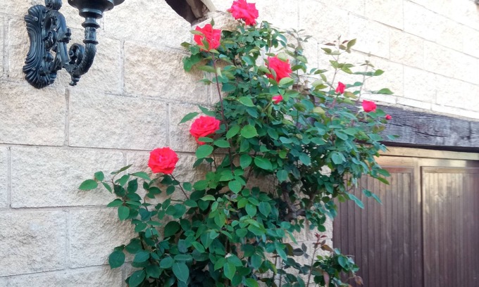 Arenzana de Abajo House | Ideal place to disconnect from the city, rest and have fun