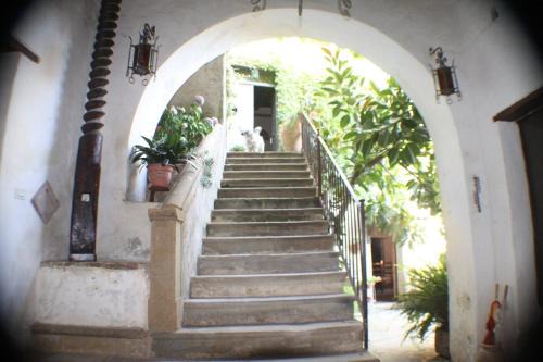 Ogliastro Cilento Apartment | Il frantoio