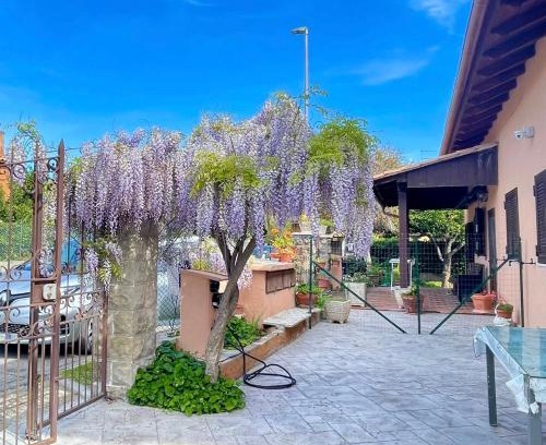 Torrimpietra House | Il Glicine di Luna