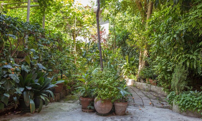 Cirenaica Apartment | il Nespolo