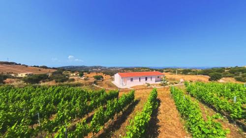 Aglientu House | Il Sughereto In Vigna