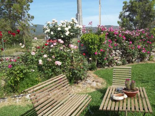 Marrubiu Bed & Breakfast | Il Vecchioliveto di Ornella