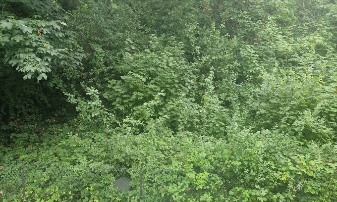 Waltham Forest Apartment | Immaculate 1-bed Apartment in Woodford Green