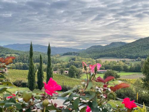 San Piero a Sieve Apartment | Incantevole Mugello