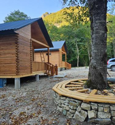 Ambrolauri House | InSxvava