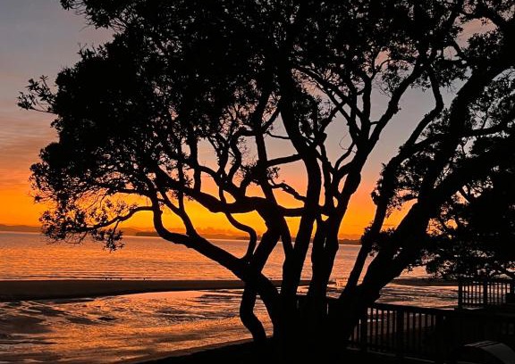 Cockle Bay Apartment | Island View Hideaway