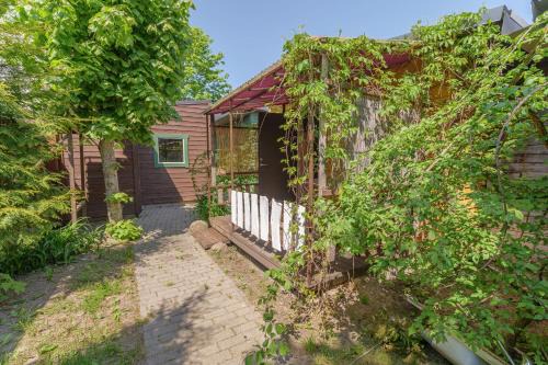 Sventoji Cabin | Jūros nendrė