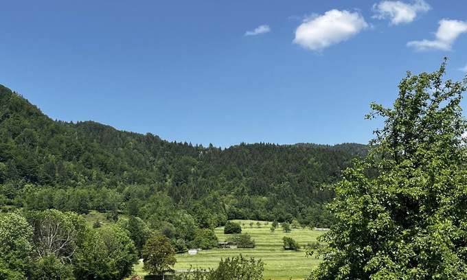 Bohinjska Bela Apartment | Jack's spacious apartment with amazing mountain view