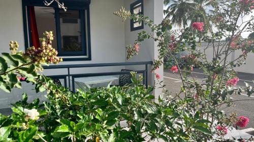 Pelletan Apartment | Jasmin des îles