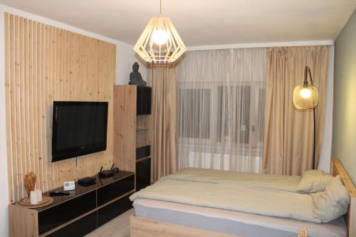 Sfantu Gheorghe Apartment | Jasmine's Home