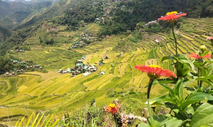 Batad Hotel | Jazh Traveller's Inn