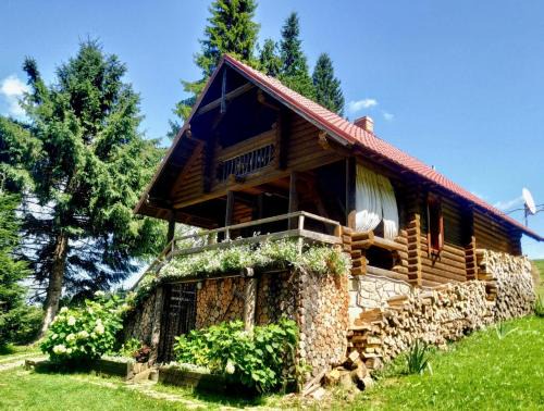 Yablunytsya Cabin | Jazz Xata