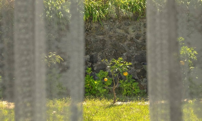 Pyeongdae-ri House | Jeju Pyeongdae 41street Pension