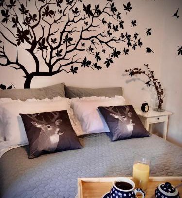 Cieplice Apartment | Jodła i Modrzew