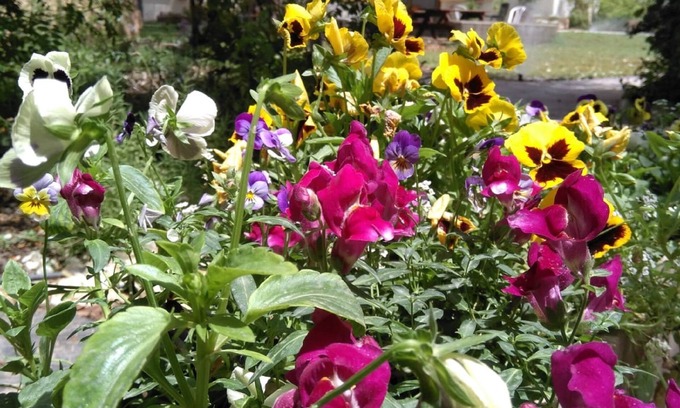 Kfar Ruppin House | Jordan Valley Birding Lodge