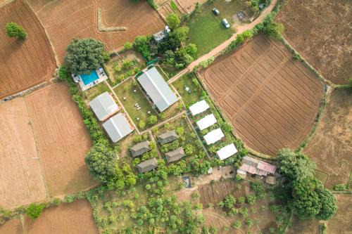 Sawai Madhopur Other | Jungle Book Ranthambore