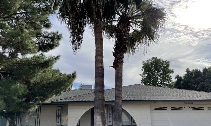 Dobson Ranch House | Jungle Bungalow 4 bd/2bth 6 beds Indoor Bball, Games, Huge backyard Family Home