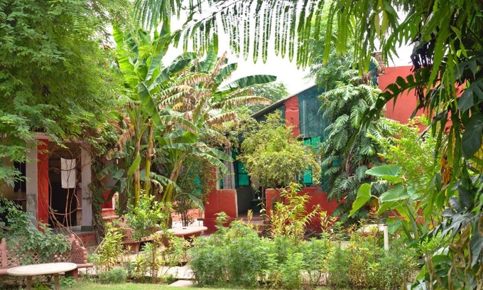 Bharatpur House | Jungle Lodge