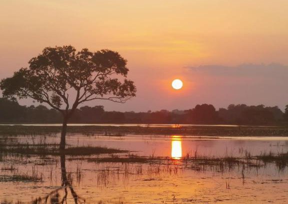 Kuchchaveli House | Jungle View Inn