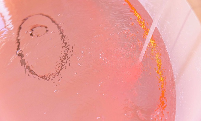 Fasano House | Junior Suite - Albachiara Suite Spa