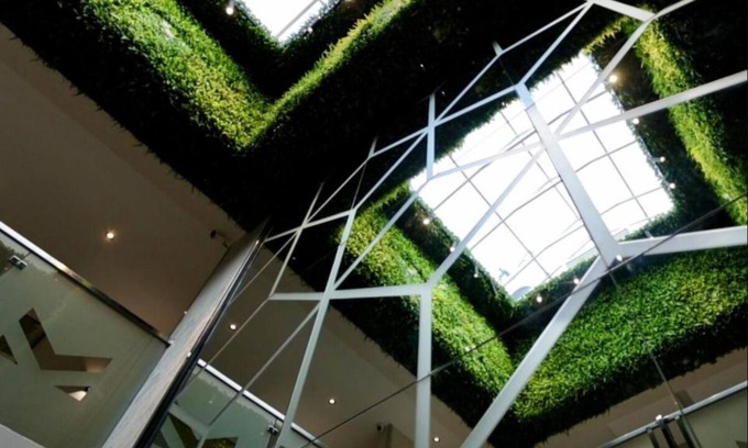 Kampala Apartment | Junior Suite at MICASSA SUITES