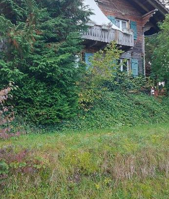 Liebistorf Apartment | Jurablick