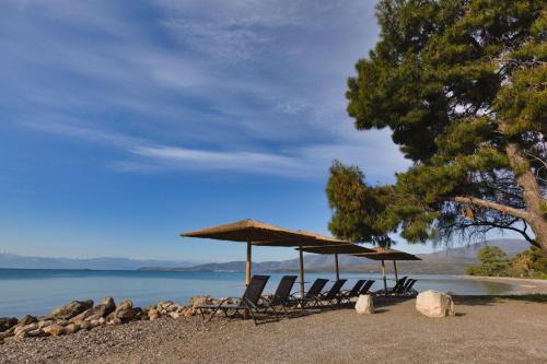 Itea Apartment | Kalafatis beach home