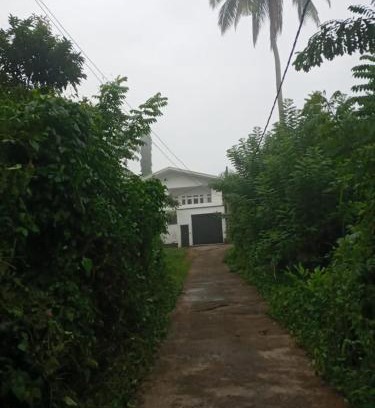 Harispattuwa House | KANDY HIDEOUT homestay