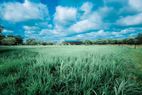 Vanathavilluwa Hotel | KAYJAY WILD WILPATTU