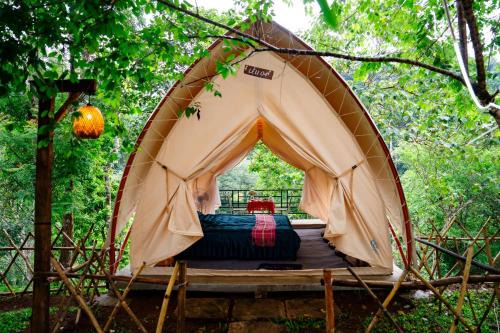 Kon Plong Other | Khu Gghỉ Dưỡng glamping Pa Sỹ