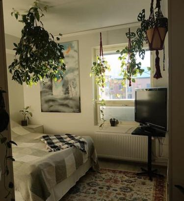 Lantinen District Apartment | King's Oak Jungle