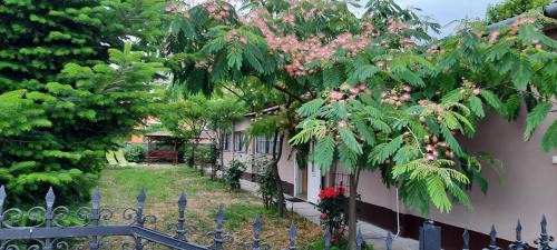 Abadszalok Apartment | Kisfaludy Vendégház