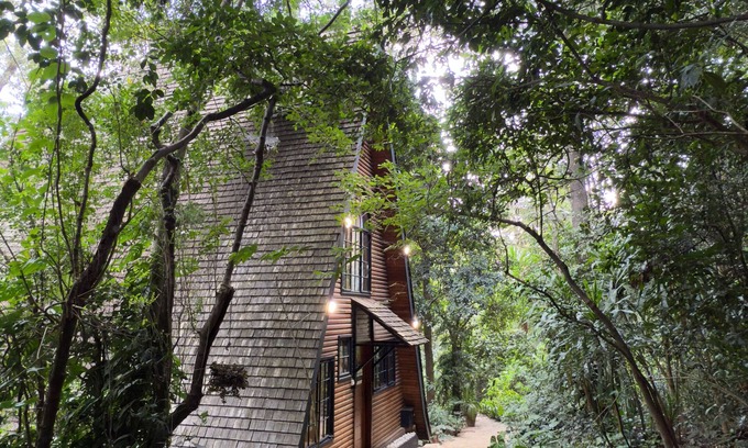 Kiambu Cabin | Kivulini A-Frame Cabin Forest-Wake to 360° forest views in a reimagined retreat.