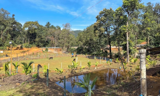 Tumari Bed & Breakfast | Kodachadri Pathalagere Homestay