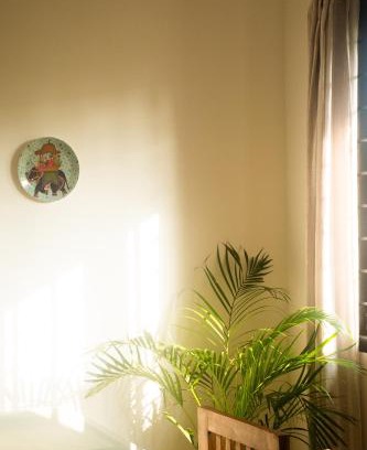 Pala Apartment | Kollamparampil Homestay