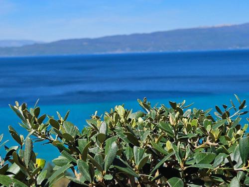 Ohrid Hotel | Konaci Manastir Sveti Stefan - Ohrid