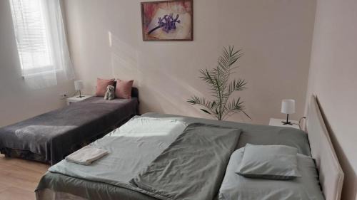Szolnok Apartment | Konstantin Apartman