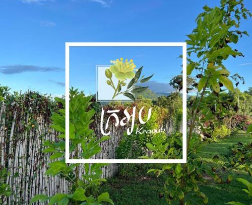 Kampot Cabin | Kraoub Kampot