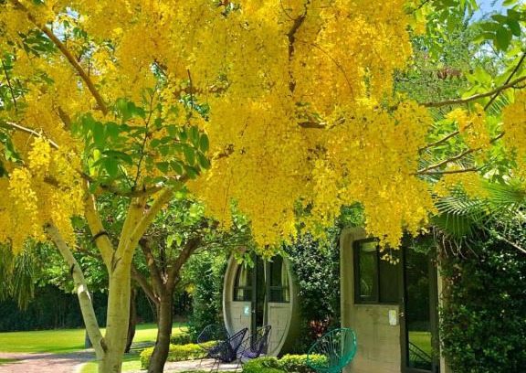 Tlaquiltenango Hotel | Kubhotel by El Rollo