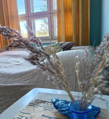 Maentsaelae House | Kuohuvirran kartano